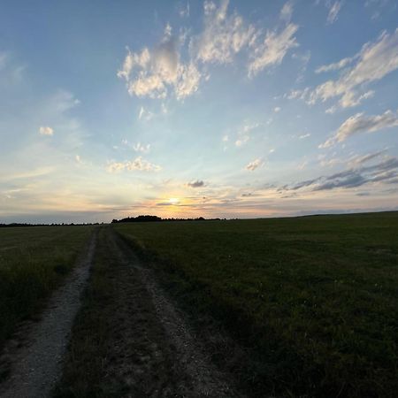 1,5-Zimmer Mit Duschbad, Gartenblick, Kuehlschrank Heroldsberg Dış mekan fotoğraf
